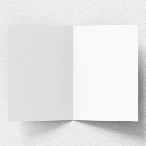 rendered_img_1_e64f3373-98a6-46c8-b2ad-c85935d7cc00